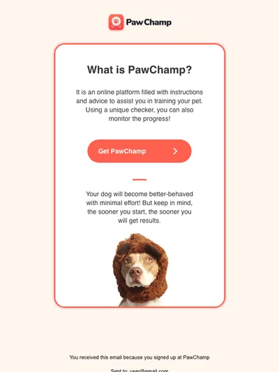 🐶 Your dog`s  training advantages 🦴
