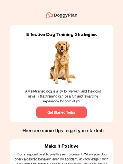 Effective dog training strategies