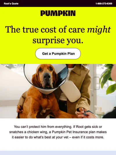 What will Root's care cost you? 🫣