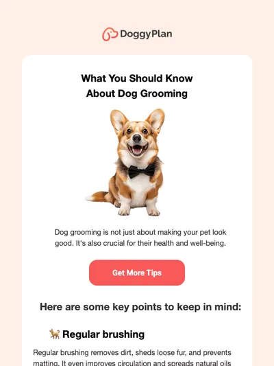 The ultimate dog grooming checklist