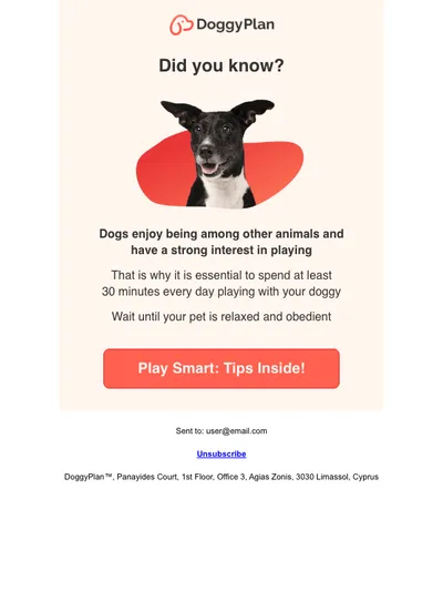 🐕 Did you know how playing with your dog affects it?