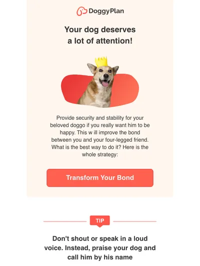 🐕 Your Sara deserves  a lot of attention!