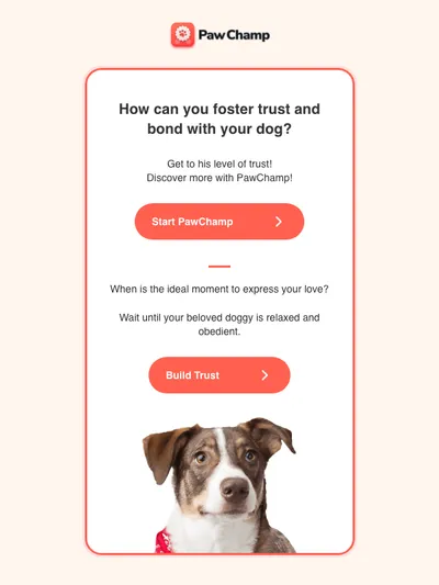🐕 How to gain Your dog’s trust