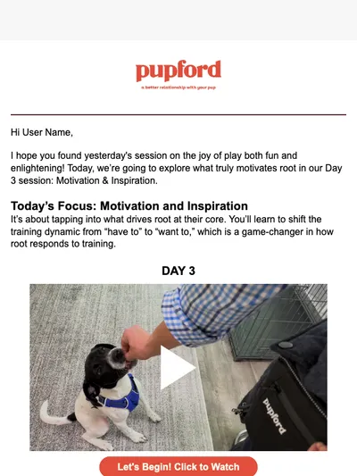 🌟 Day 3: What motivates your pup?