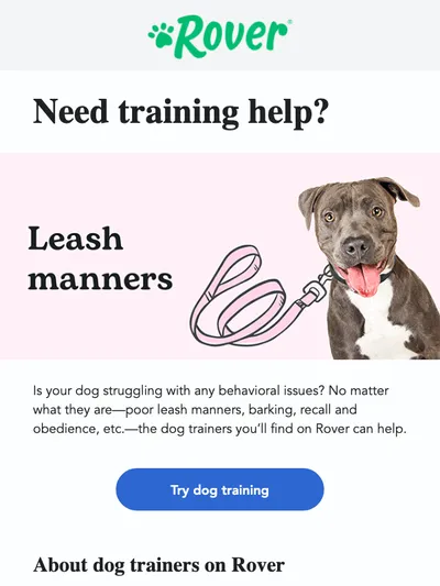 Training for barking, leash manners, & so much more