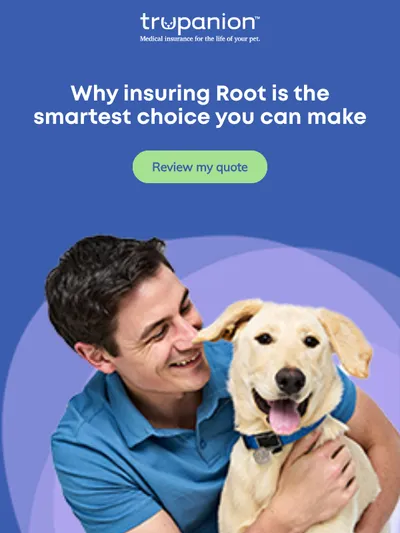 Does Root really need pet insurance?