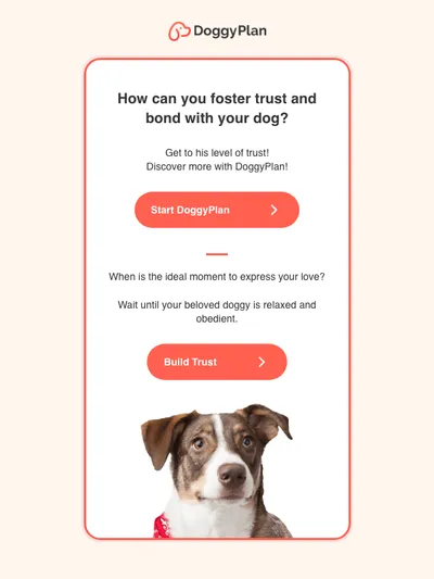 🐕 How can you foster trust and bond with Sara?